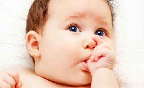흔히 관찰되는 신생아의 행동 7가지 입에 물기