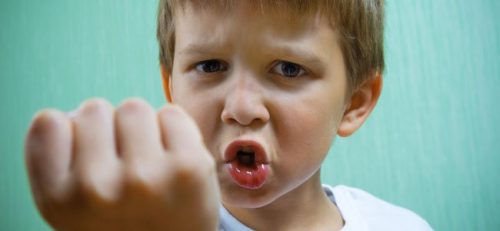 유아기 공격성 폭력