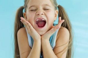 유치의 줄기세포