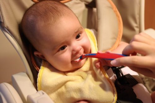 고형식을 시작하는 시기와 먹이는 방법