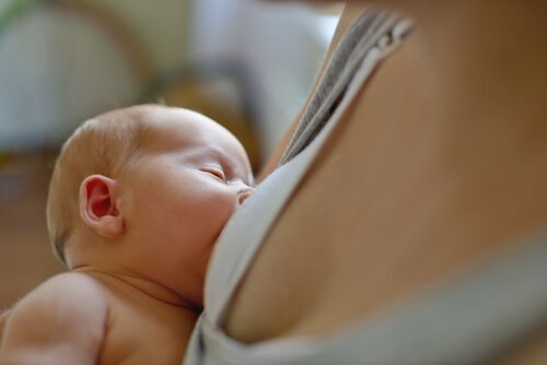 유두 모양이 모유수유에 미치는 영향
