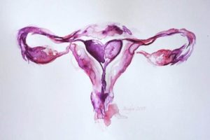 여성 생식계는 어떻게 작동하는가?