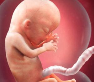 임신 13주차는 어떤 시기일까?