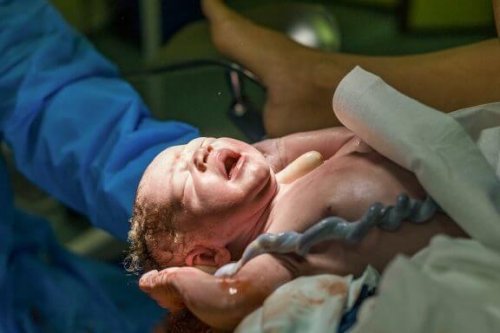출산 후 탯줄을 기증하는 이유