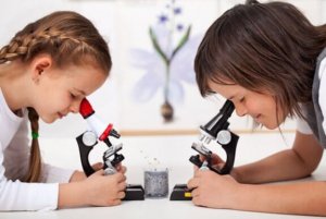 아이들이 좋아하는 과학 실험 4가지