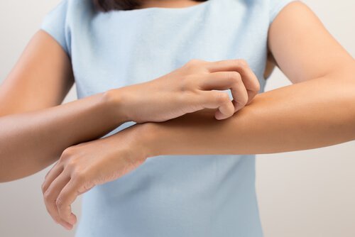 진드기에 물리지 않도록 하는 방법