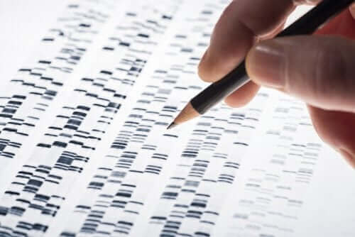 태아 유전자 검사란 무엇일까?