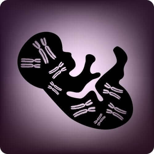 태아 유전자 검사의 특성 및 장점