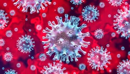 코로나바이러스는 어린이에게 위험할까?