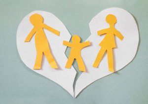 가족 소송 절차를 위한 임시 조처로서의 가족 자산의 분할