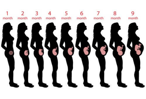 임신 9주차의 신체적 변화