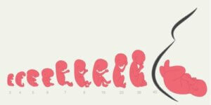 임신 8주차의 변화