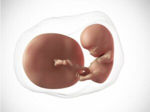 임신 10주차의 변화