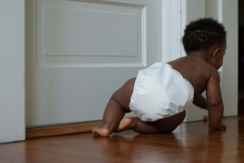 아기의 생후 첫해에 일어나는 다섯 번째 발달 단계