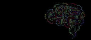 지능의 개념 및 시간에 따른 변화