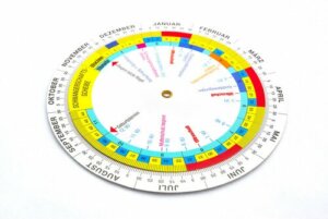 게스토그램은 무엇일까