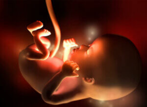 임신 12주차의 특징