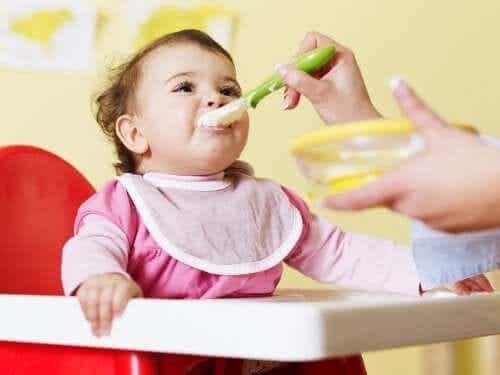 음식이 어린이의 장내 미생물군에 미치는 영향