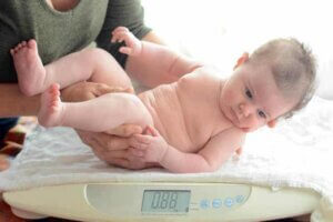 아기와 어린이의 체질량지수(BMI)