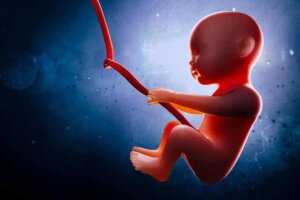 임신 중 태아 딸꾹질: 왜 발생하는 걸까?